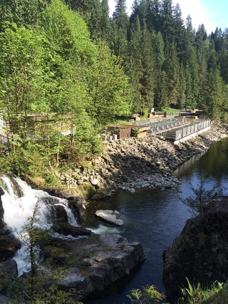 The Capilano Fish Hatchery looking back from the viewpoint