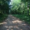 Doubletrack trail near Blackwell Swamp