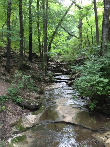 Creek bed off of Spring Trail