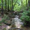 Creek bed off of Spring Trail