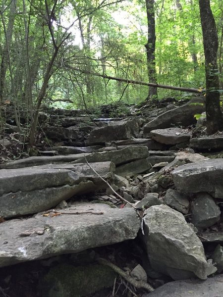 Creek bed off of Spring Trail