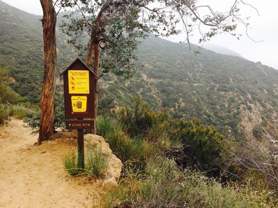 Junction of the scenic cog-rail link between the Mt. Lowe ruins and the fire road.