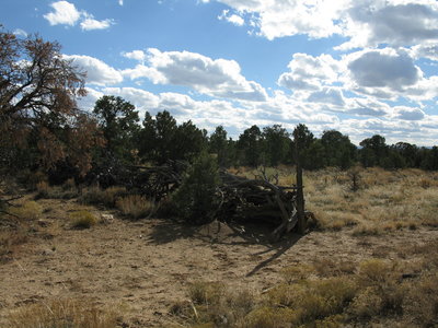 An old brush fence must have taken many hours to construct and leaves us wondering about early cowboys that probably lived and camped nearby.