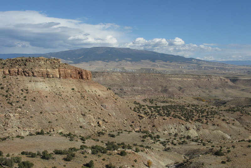 View along McCarty Trail