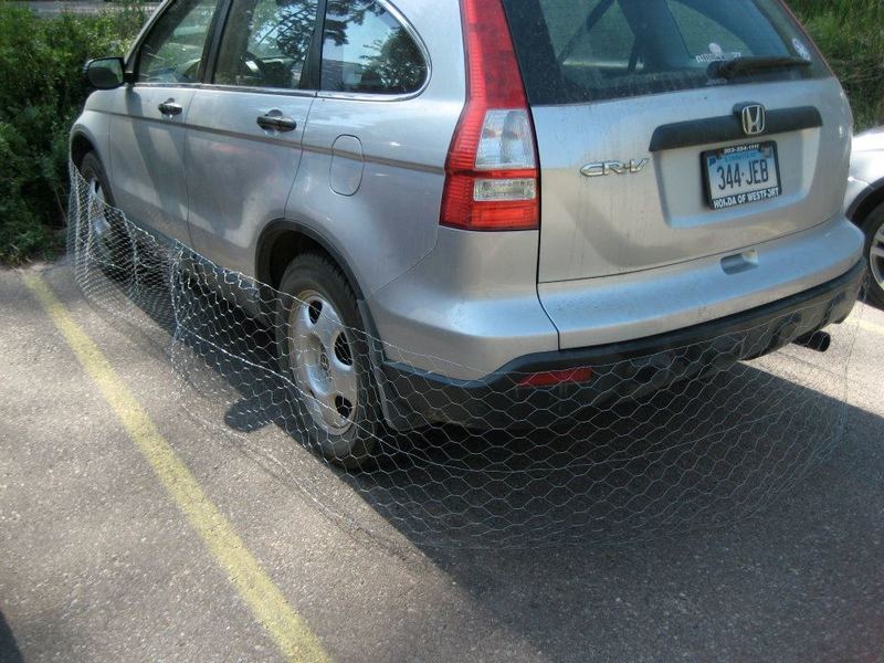 Chicken wire: good protection against porcupines chewing your brake lines to the tune of $1,500. A must for any camper; useless if just visiting for the day.