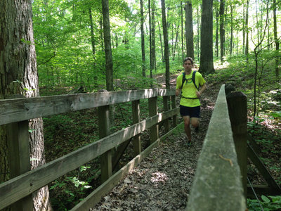 Neat bridge crossing just past the Homestead Campsite intersection.