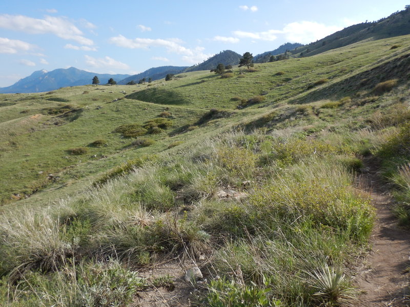 Looking south at Bear Peak and Green Mountain