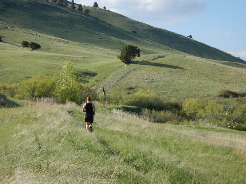 Rolling along in the Boulder foothills