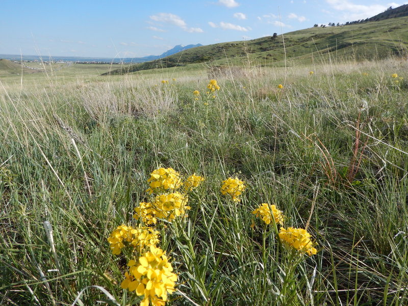 Looking south from the Foothills Bench Trail