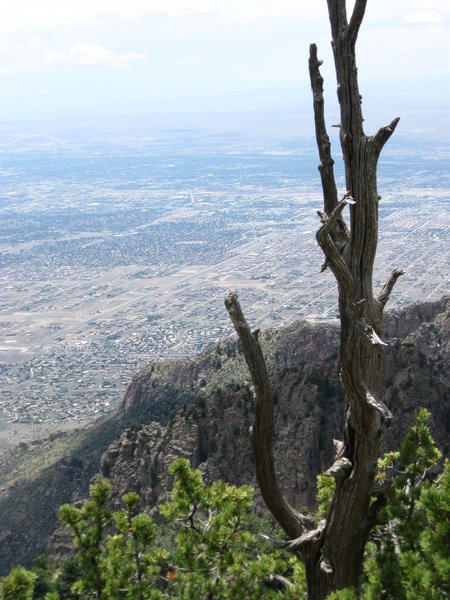 View from Sandia Peak