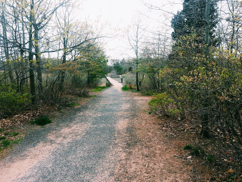 Entering the trail.