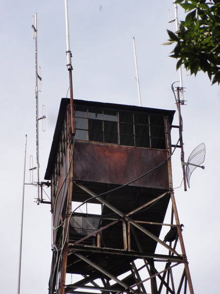 The Old Fire Tower, can you spot the vulture?