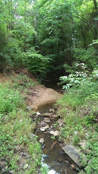 Creek crossing on the horse trail