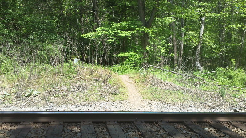 Make sure you look both ways before crossing the tracks.