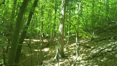 Just some woods and people on the Laurel Trail!