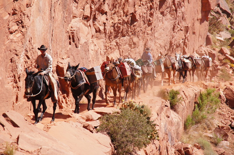 Grand Canyon, South Kaibab Trail.