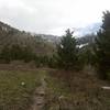 Along the Middle Cottonwood Creek trail, in the Bridgers outside Bozeman, MT