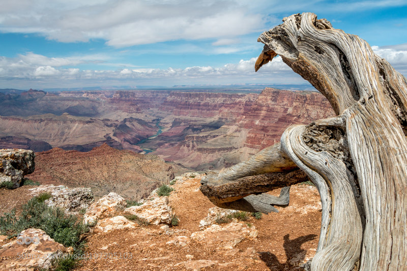 Grand Canyon view...