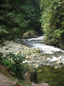 Capilano Canyon