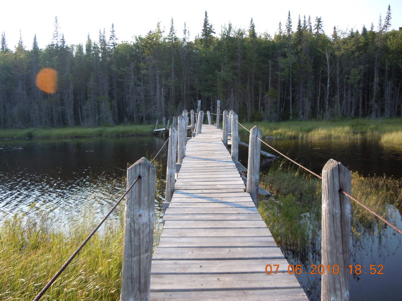 Very cool bridge that crosses South Lake