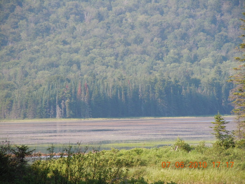 The views are sweet - Mud Lake