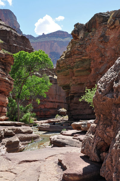 Grand Canyon National Park - Deer Creek.