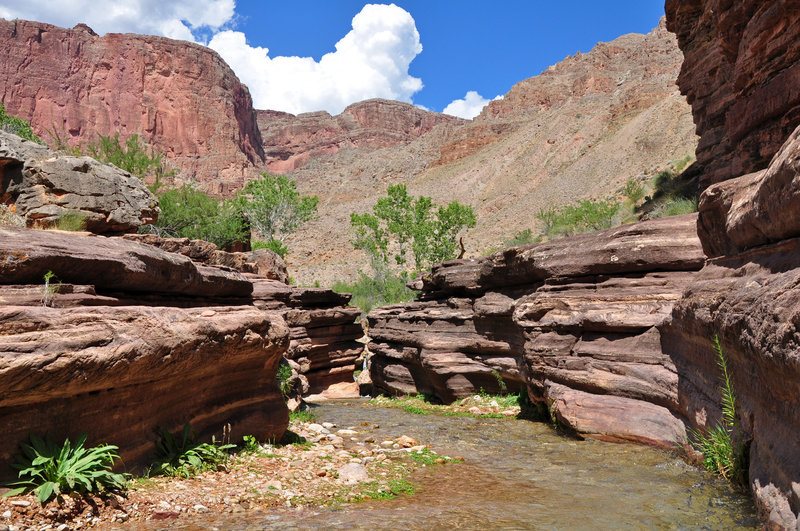 Grand Canyon National Park - Deer Creek