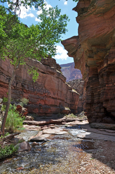 Grand Canyon National Park - Deer Creek