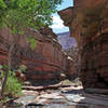 Grand Canyon National Park - Deer Creek