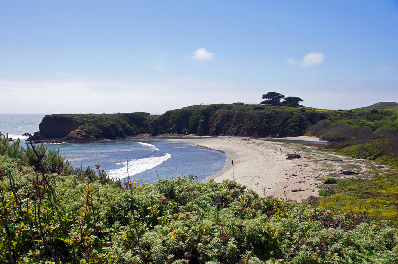 Andrew Molera State Park, Beach Trail