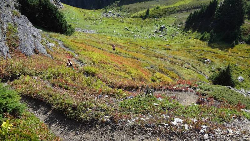 Walking down a winding path to the alpine lakes.