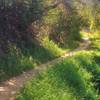 These switchbacks on the Schabarum Trail Extension are a highlight of this area