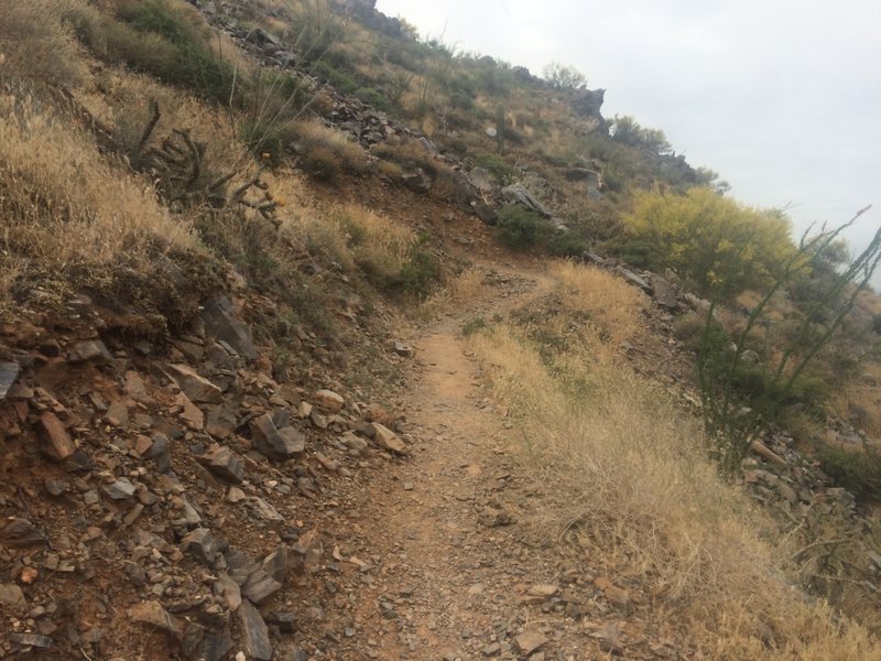 Uphill charge on the Tom Thumb Trail