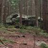 A giant boulder on the Brothers Creek Fire Trail