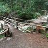 Brothers Creek Bridge at the intersection of the Fire Road and the Brothers Creek Trail