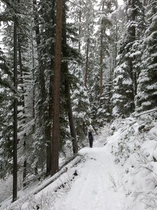 Lava Lake trail is a great trail.