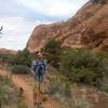 This is along the Syncline Loop Trail, a great 8.6 mile loop.