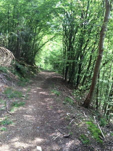 Easiest part of the Trail de la Lesse