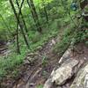 Nasty technical downhill on Natural Well Trail