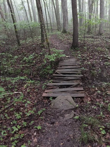 One of four wooden bridges on Arrowhead.  This one is in bad shape, the rest are very good.