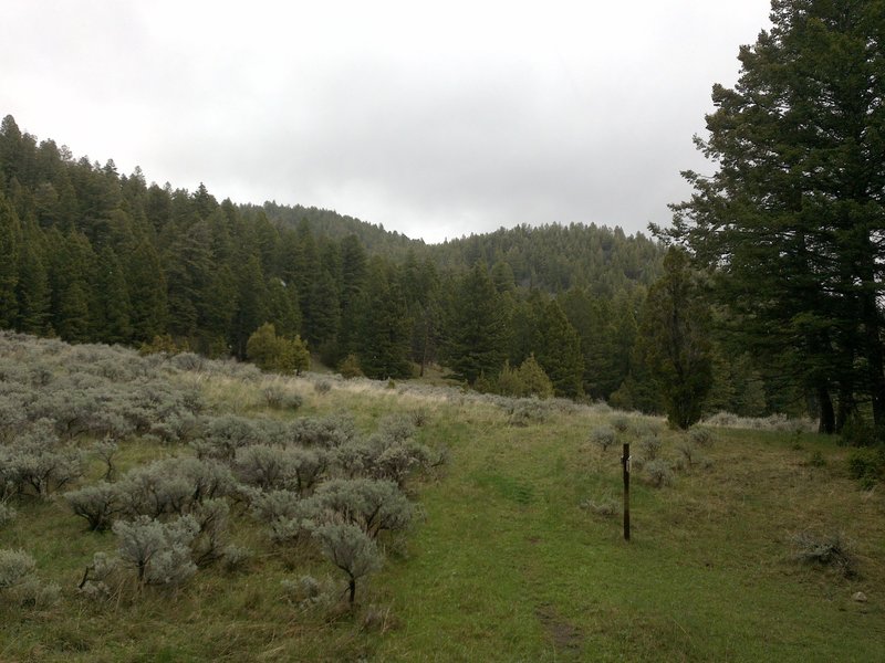 View when you first get to the ridge line, up from the creek.