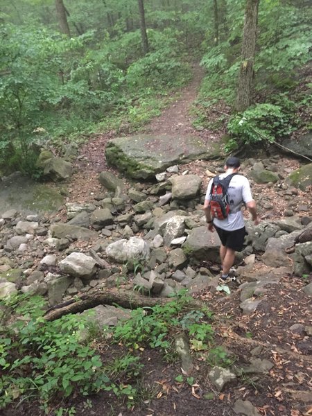 Creek bed crossing on the Arrowhead Trail