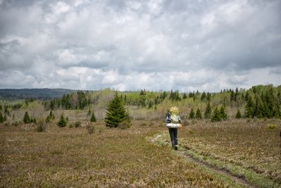 Upper Red Creek trail