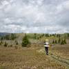 Upper Red Creek trail