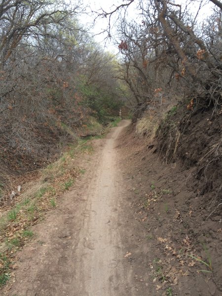 Singletrack in Canyon Hollow