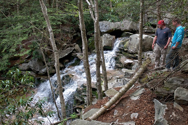 Dolly Sods Waterfall