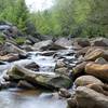 Red Creek - Dolly Sods Wilderness