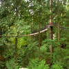 Treetops Experience