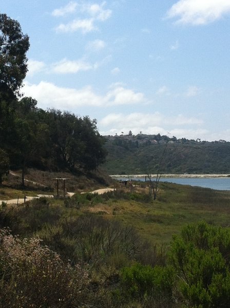 Near the main trailhead of Batiquitos Lagoon.