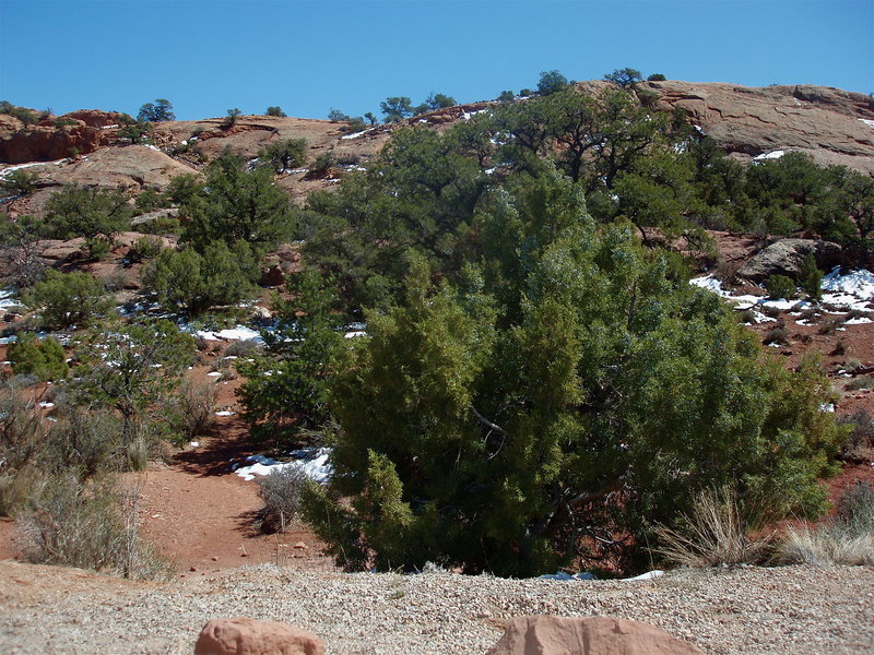 Upheaval Dome trailhead, Canyonlands National Park UT